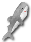 Sharkie